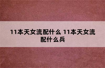 11本天女流配什么 11本天女流配什么兵